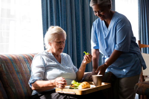 Preparing a Healthy Meal Plan for Seniors